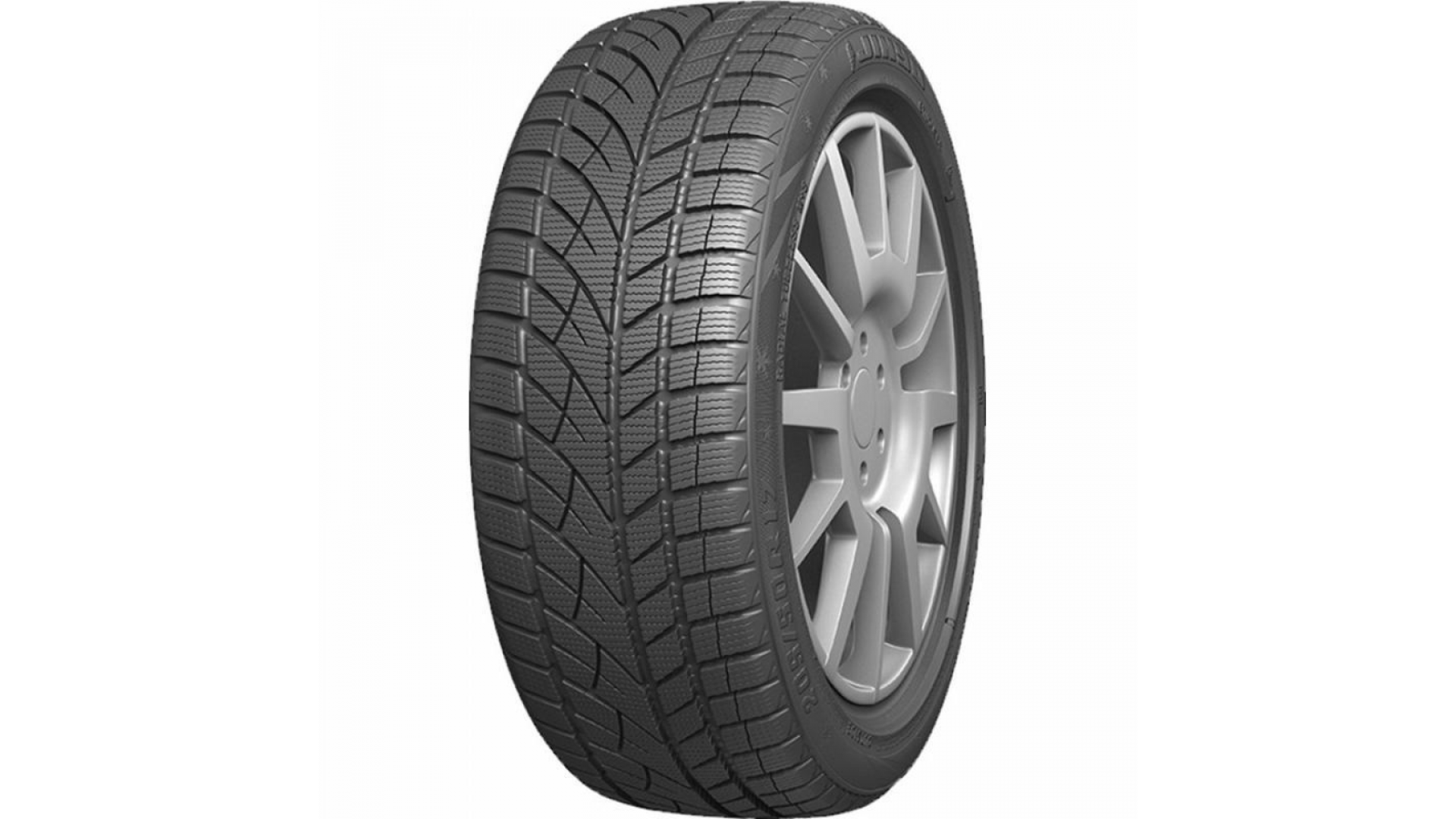 RoadX 245/45/18 XL Frost WU 01 (Зима)