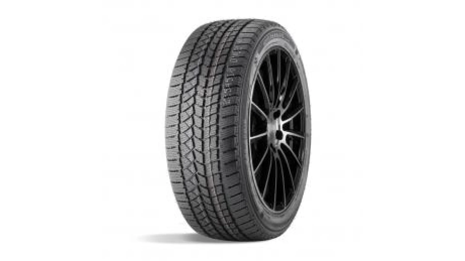 ДаблСтар  205/60/16 S 92  DW02 (ЗИМА)